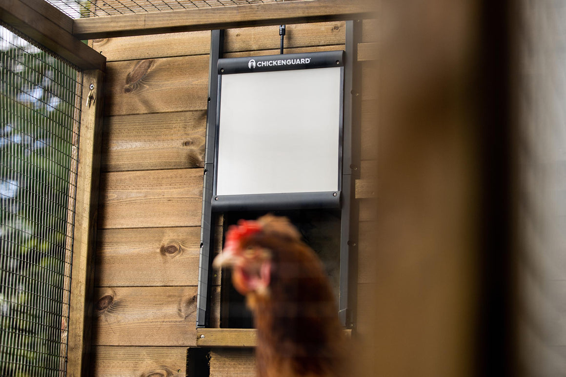 ChickenGuard Pro with Self-Locking Door Kit