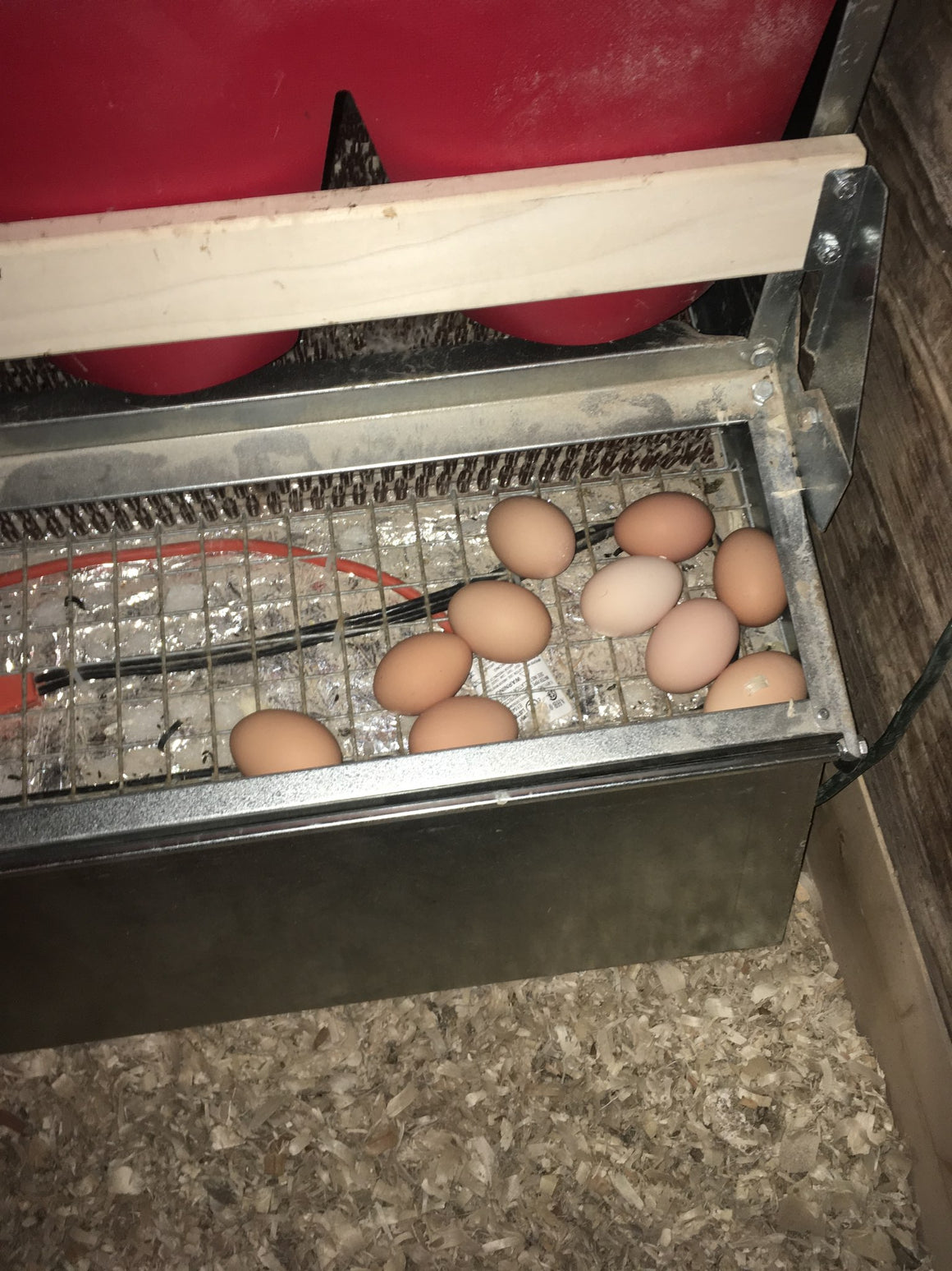 Heating solutions - Keep eggs from freezing