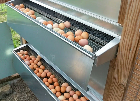 Large (48") Reversible Roll Out Chicken Nest Box (Up To 50 hens)